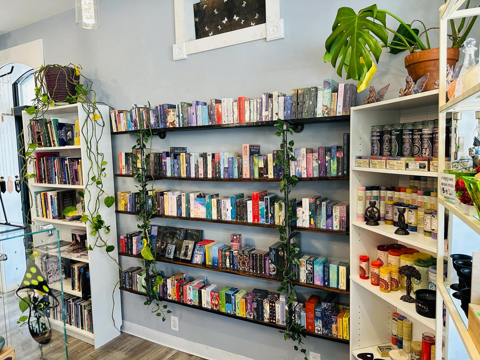 A brightly lit room with shelves filled with books, tarot card decks, and spiritual items, decorated with green plants and various small ornaments.